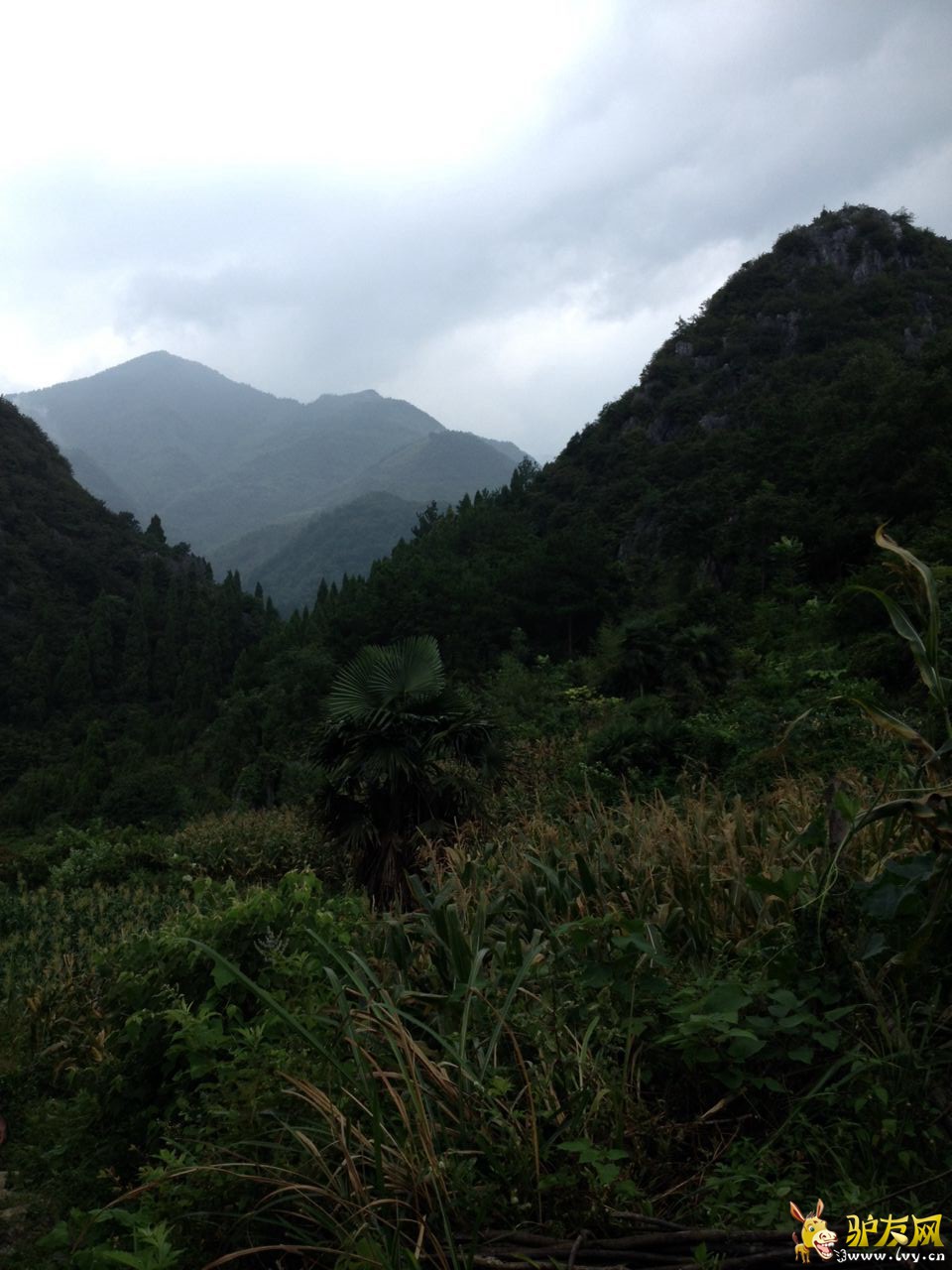 eb895825439ca39664ccdc2ad39e509a����.jpg