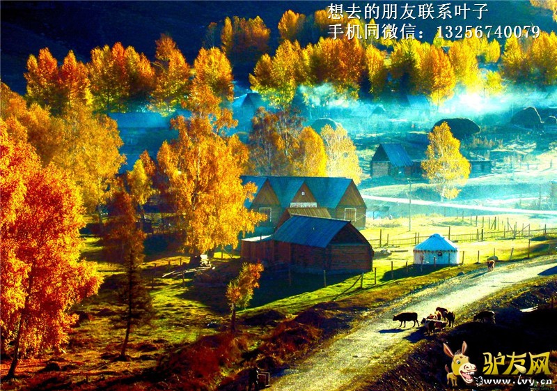 20090929154144354.jpg